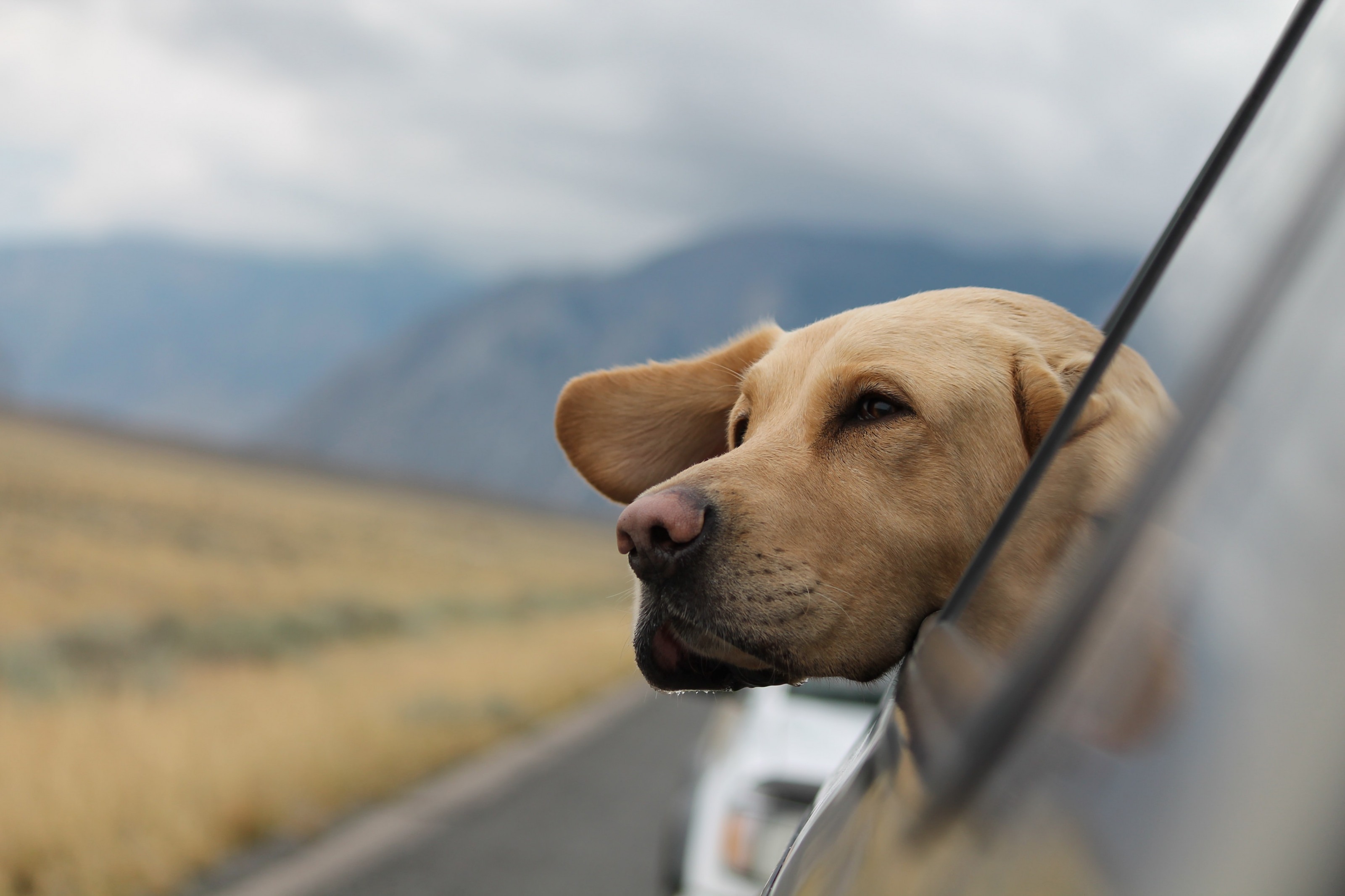 Camping in NRW — Camping mit Hund Camping in NRW